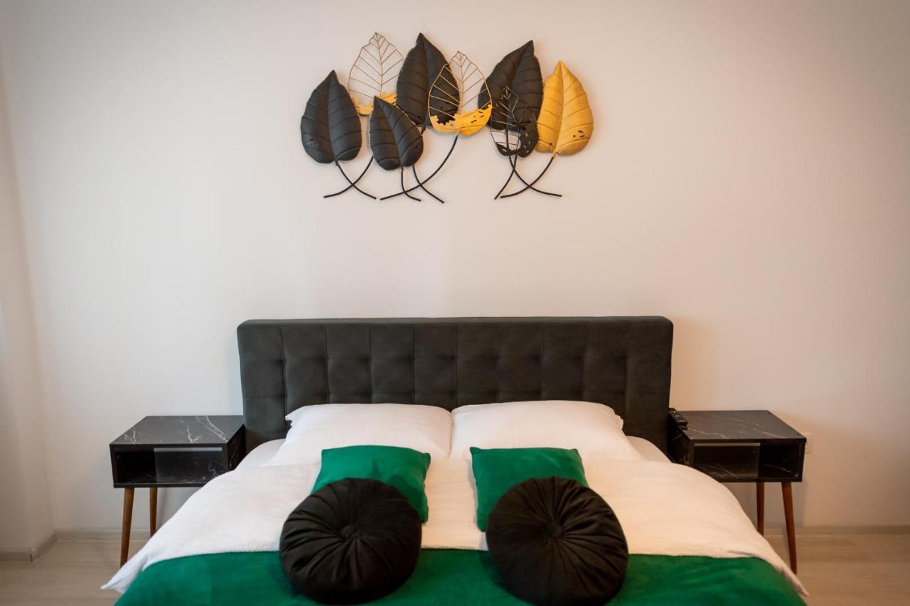 Coresi Vibe Studio Брашов Экстерьер фото