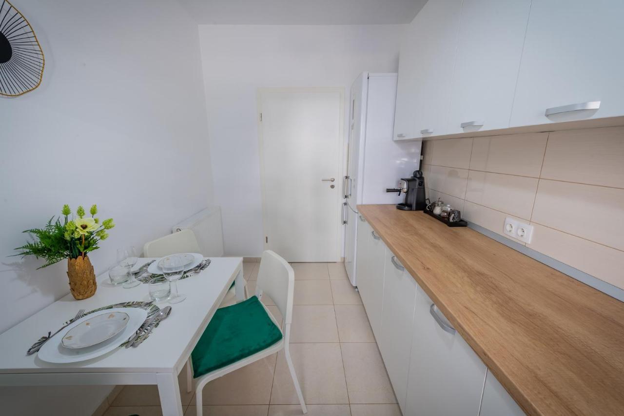 Coresi Vibe Studio Брашов Экстерьер фото