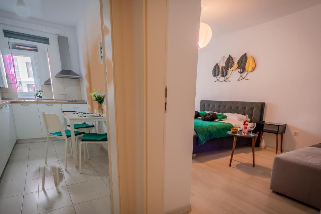 Coresi Vibe Studio Брашов Экстерьер фото