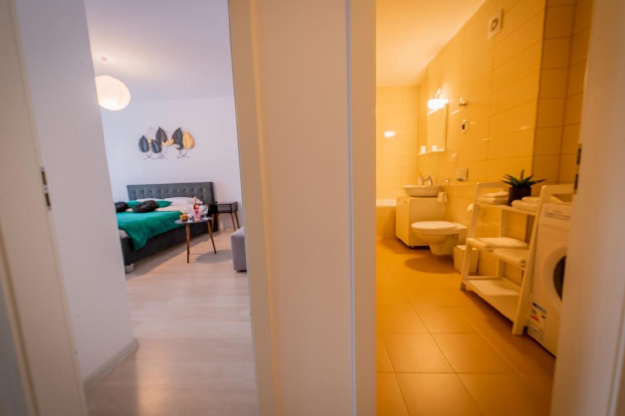 Coresi Vibe Studio Брашов Экстерьер фото