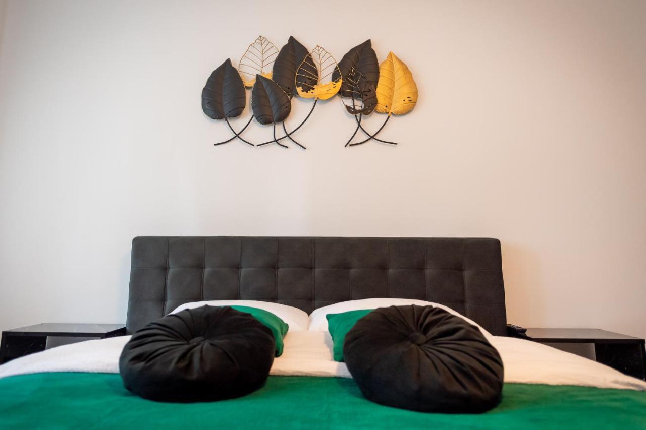 Coresi Vibe Studio Брашов Экстерьер фото