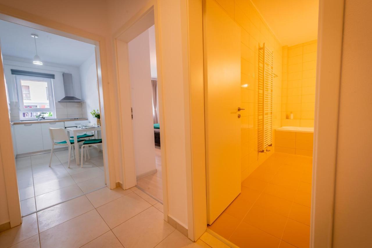 Coresi Vibe Studio Брашов Экстерьер фото
