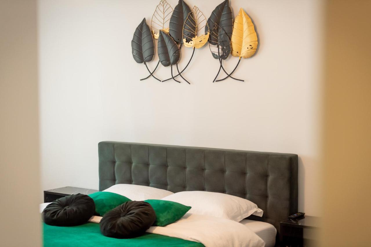 Coresi Vibe Studio Брашов Экстерьер фото